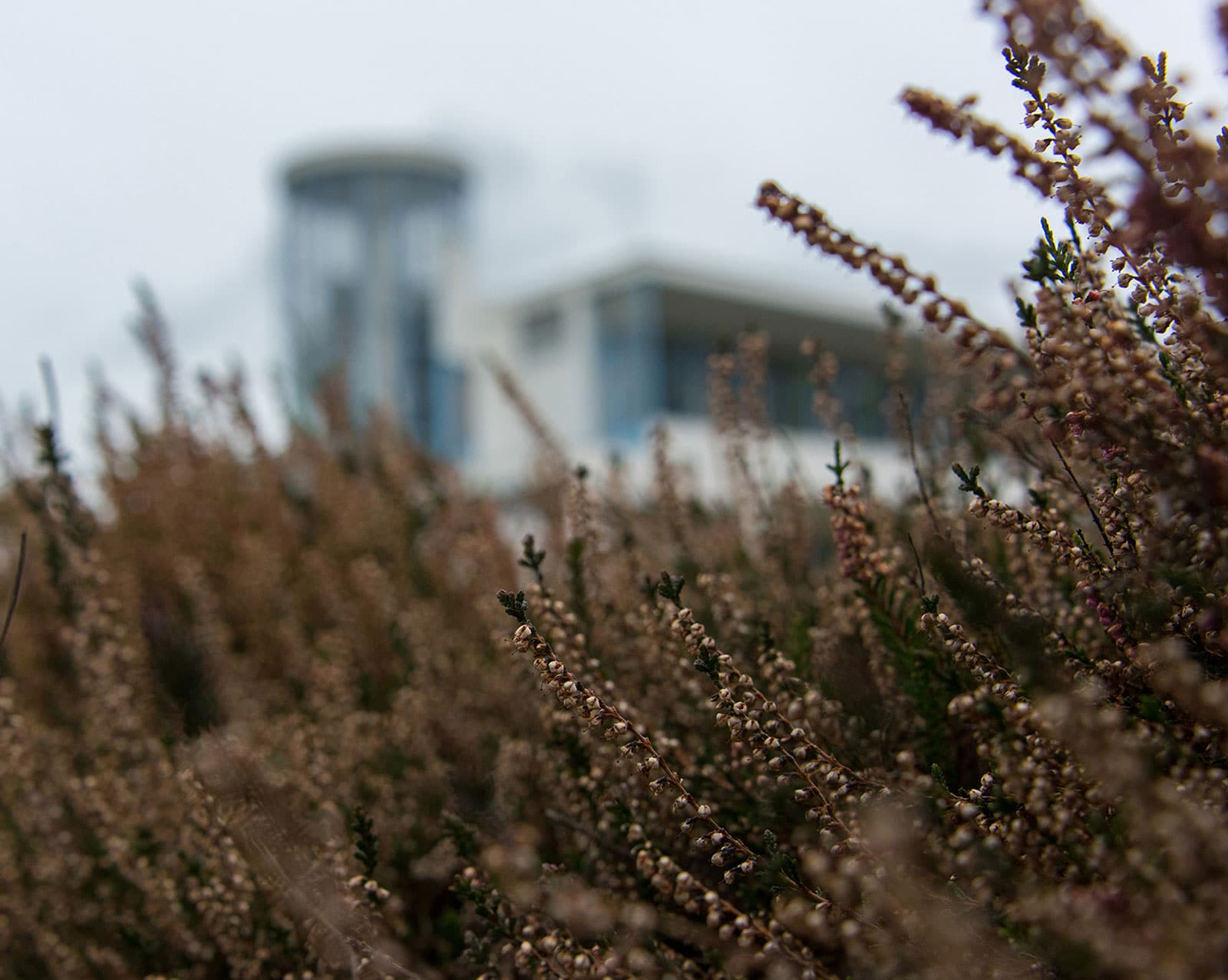 De geneeskundige behandelings­overeenkomst