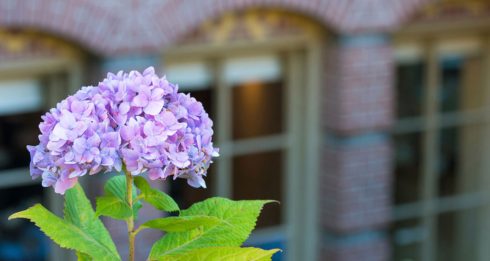 Contact - Villa Henriette Hilversum